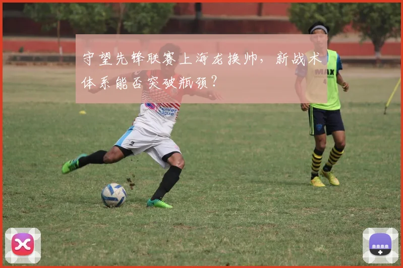 守望先锋联赛上海龙换帅，新战术体系能否突破瓶颈？