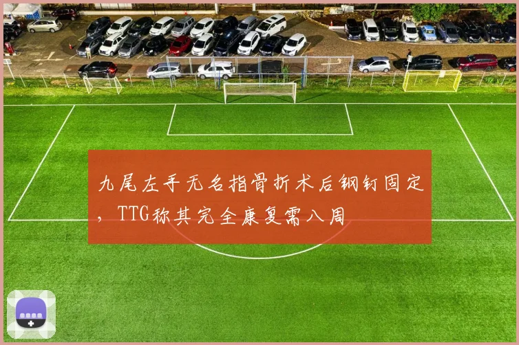 九尾左手无名指骨折术后钢钉固定，TTG称其完全康复需八周